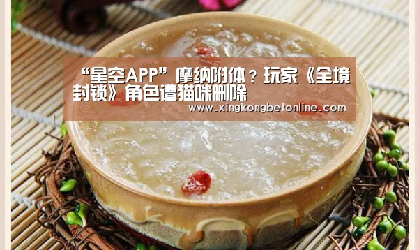 “星空APP”摩纳附体?玩家《全境封锁》角色遭猫咪删除(图2) 星空电竞