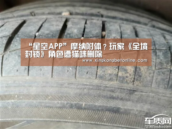 “星空APP”摩纳附体?玩家《全境封锁》角色遭猫咪删除(图3) 星空电竞