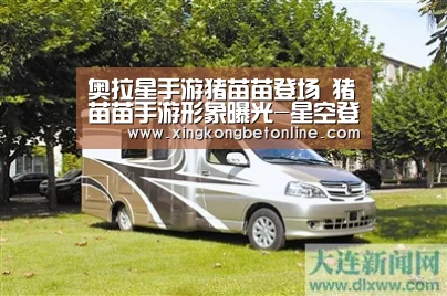 奥拉星手游猪苗苗登场 猪苗苗手游形象曝光-星空登录(图2) 星空电竞