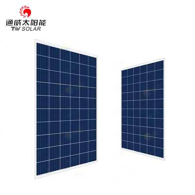星空登录_特雷泽盖:C罗独一无二,他给了球队安全感(图1) 星空登录