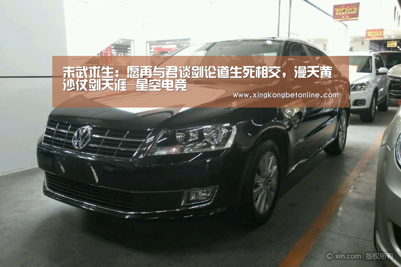 末武求生:愿再与君谈剑论道生死相交,漫天黄沙仗剑天涯-星空电竞(图1) 星空体育