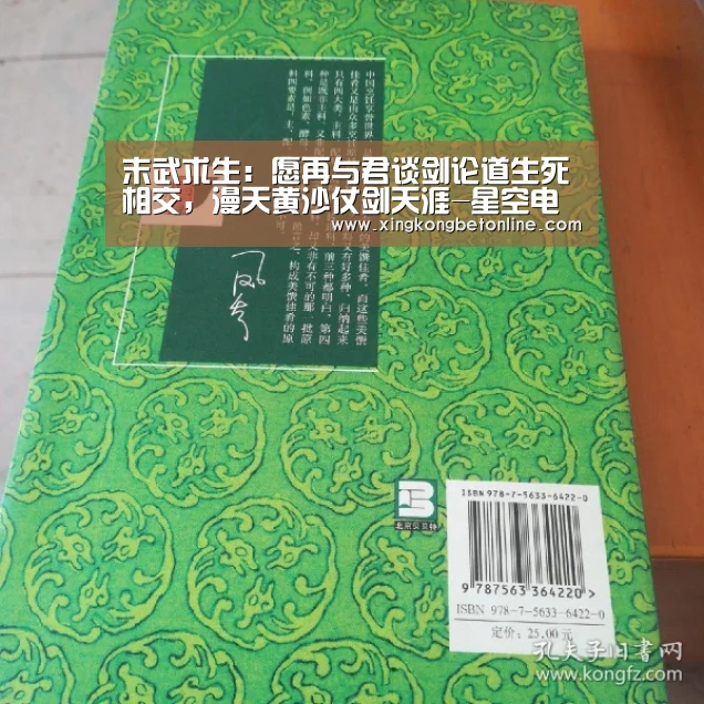 末武求生:愿再与君谈剑论道生死相交,漫天黄沙仗剑天涯-星空电竞(图2) 星空电竞