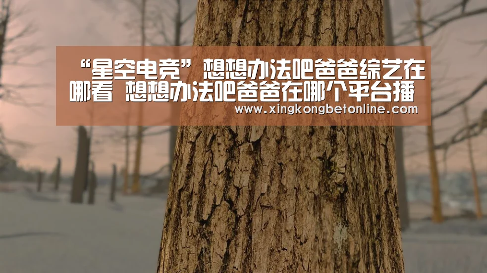 “星空电竞”想想办法吧爸爸综艺在哪看 想想办法吧爸爸在哪个平台播出(图4) 星空APP
