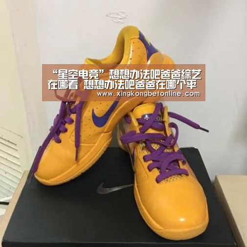 “星空电竞”想想办法吧爸爸综艺在哪看 想想办法吧爸爸在哪个平台播出(图3) 星空电竞