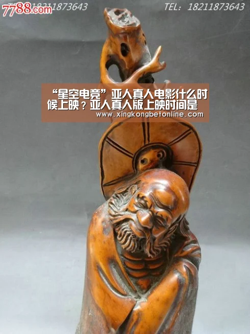星空体育