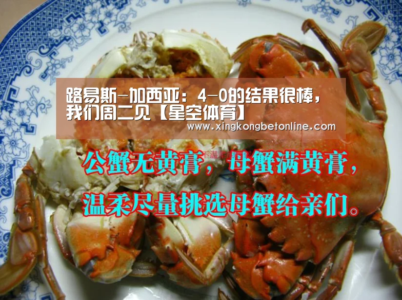 路易斯-加西亚:4-0的结果很棒,我们周二见【星空体育】(图2) 星空APP