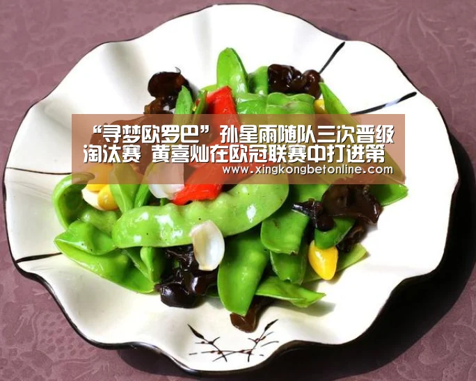 “寻梦欧罗巴”孙星雨随队三次晋级淘汰赛 黄喜灿在欧冠联赛中打进第三球|星空体育(图1) 星空体育