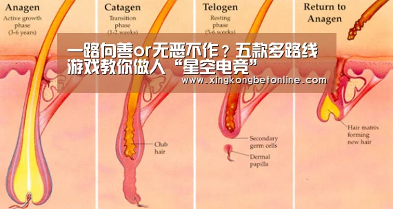 一路向善or无恶不作?五款多路线游戏教你做人“星空电竞”(图1) 星空电竞