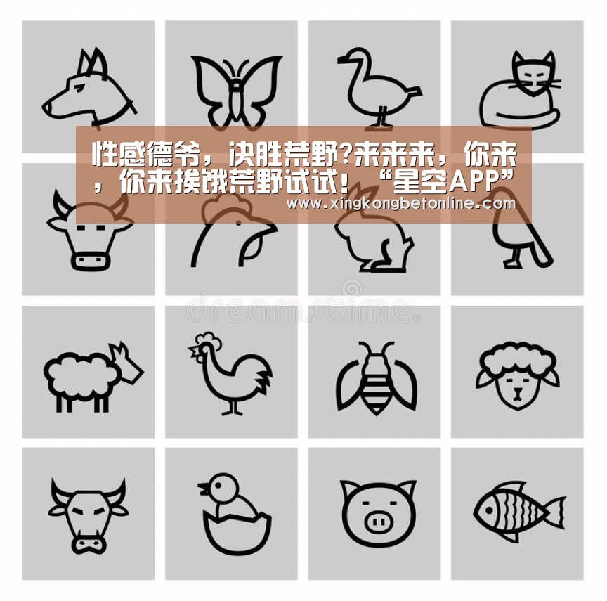 星空体育
